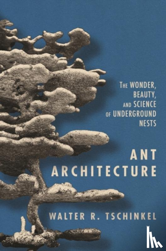 Tschinkel, Walter R. - Ant Architecture
