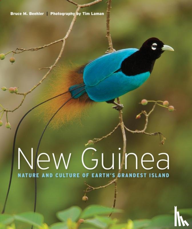 Beehler, Bruce M., Laman, Tim - New Guinea