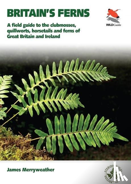 Merryweather, James - Ferns
