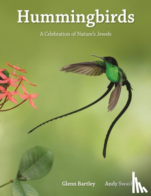 Bartley, Glenn, Swash, Andy - Hummingbirds