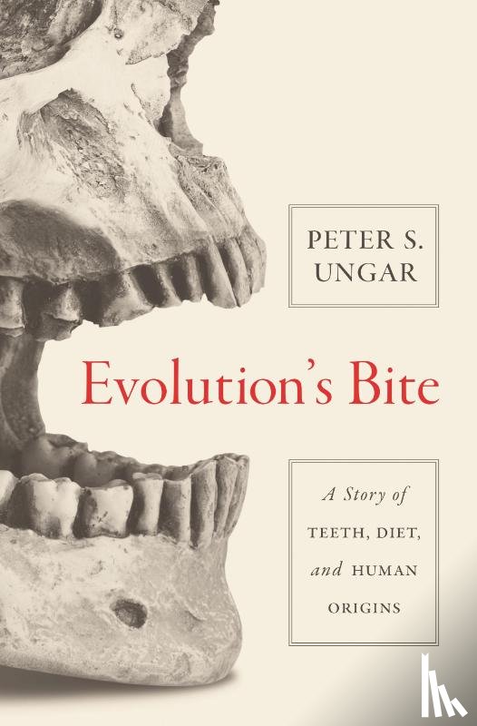 Ungar, Peter - Evolution's Bite