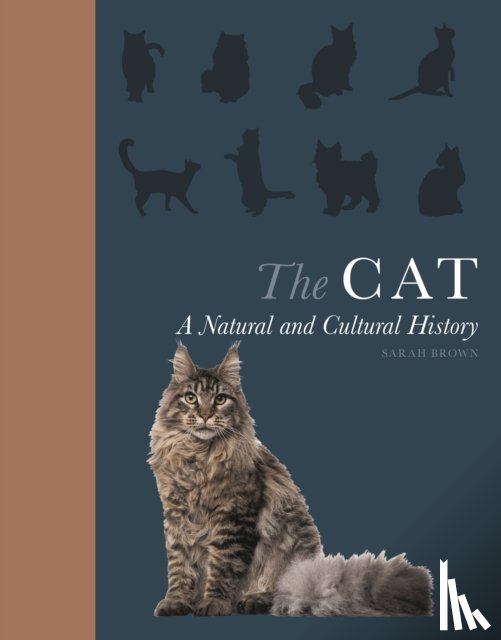 Brown, Sarah - The Cat