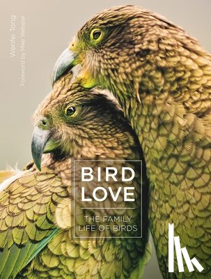 Tong, Wenfei - Bird Love
