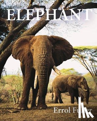 Fuller, Errol - Elephant