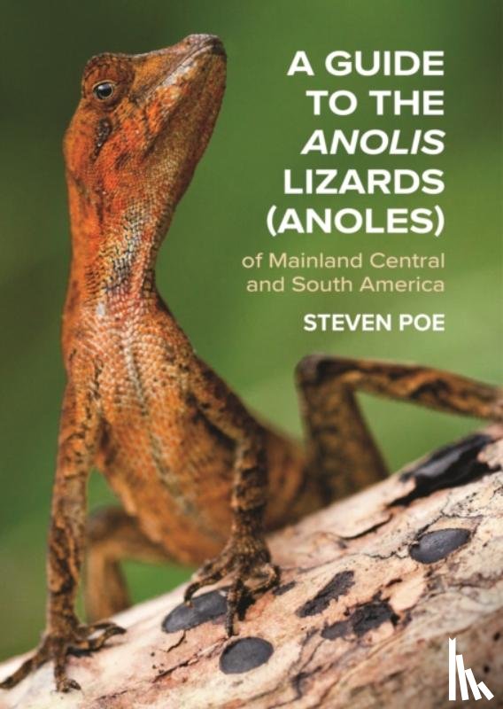 Poe, Steven - A Guide to the Anolis Lizards (Anoles) of Mainland Central and South America