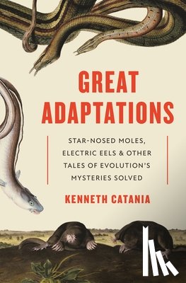 Catania, Kenneth - Great Adaptations