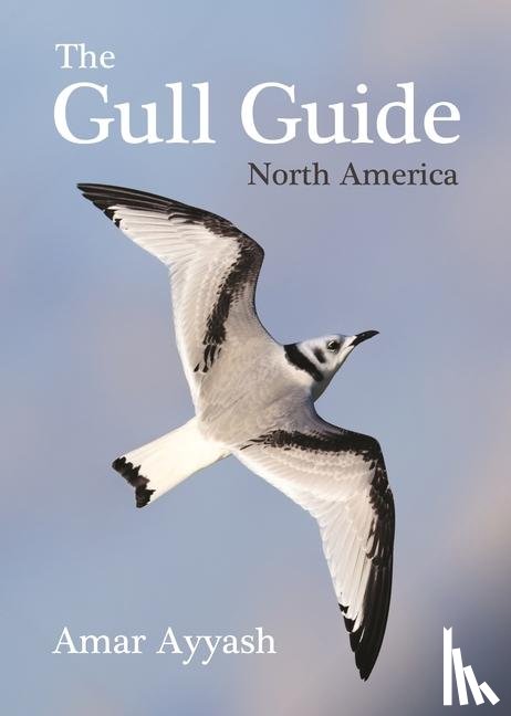 Ayyash, Amar - The Gull Guide