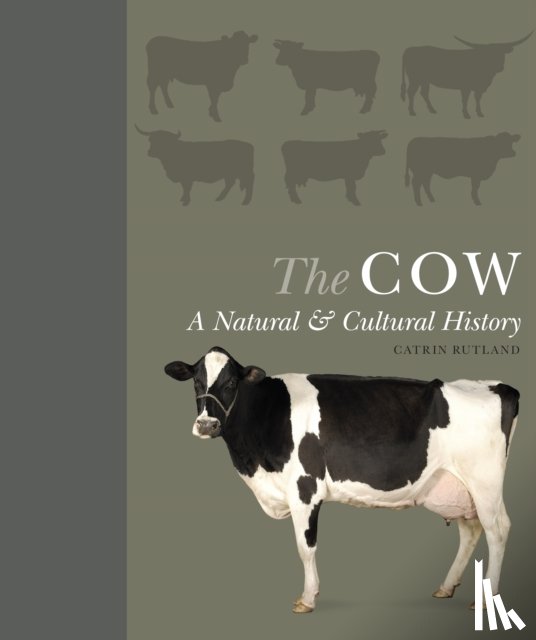 Rutland, Catrin - The Cow