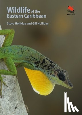 Holliday, Steve, Holliday, Gill - Wildlife of the Eastern Caribbean