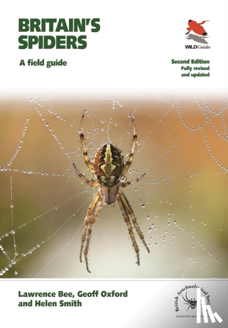 Bee, Lawrence, Oxford, Geoff, Smith, Helen - Britain's Spiders