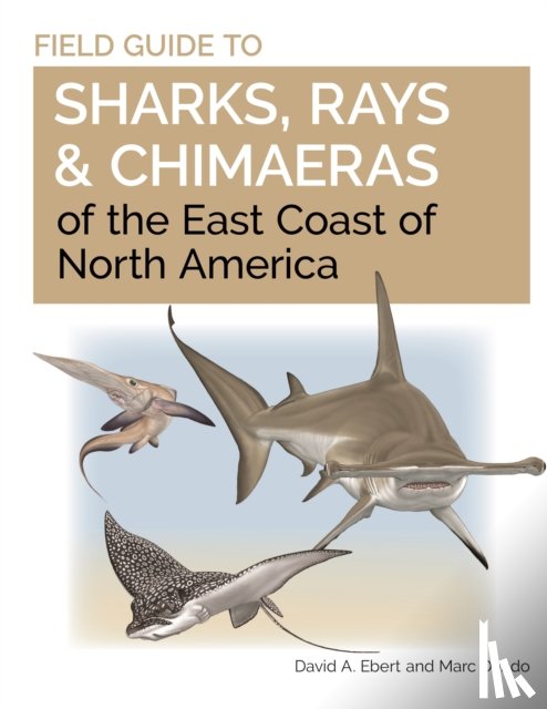 Ebert, Dr. David A., Dando, Marc - Field Guide to Sharks, Rays and Chimaeras of the East Coast of North America
