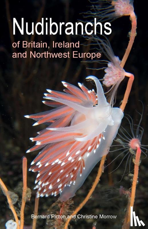 Picton, Bernard, Morrow, Christine - Nudibranchs of Britain, Ireland and Northwest Europe