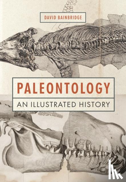 Bainbridge, David - Paleontology