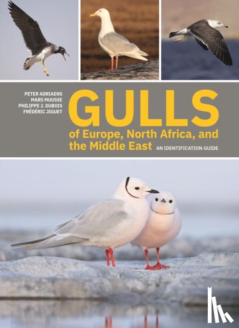 Adriaens, Peter, Muusse, Mars, Dubois, Philippe J., Jiguet, Frederic - Gulls of Europe, North Africa, and the Middle East