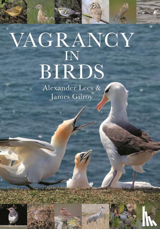 Lees, Alexander, Gilroy, James - Vagrancy in Birds