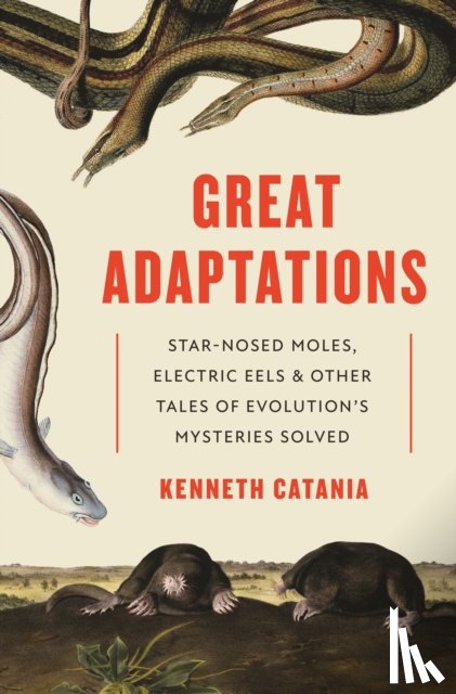 Catania, Kenneth - Great Adaptations