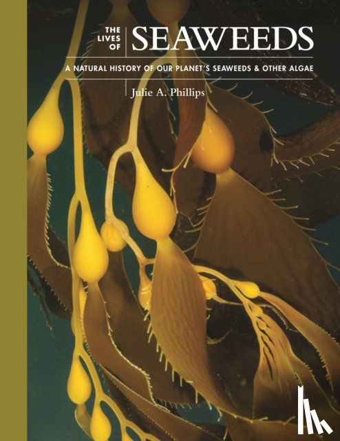 Phillips, Julie A. - The Lives of Seaweeds
