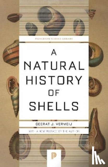 Vermeij, Geerat - A Natural History of Shells