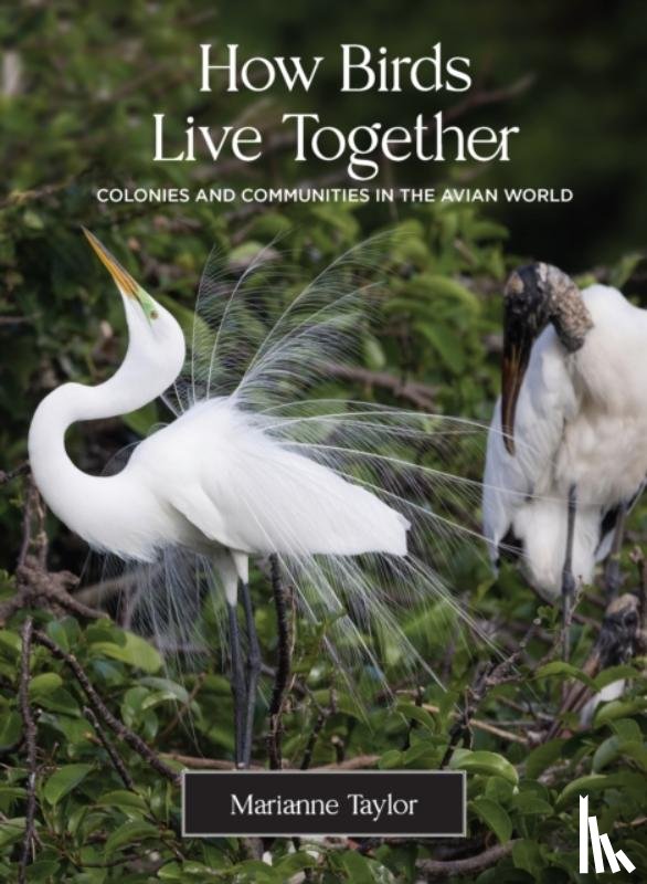 Taylor, Marianne - How Birds Live Together