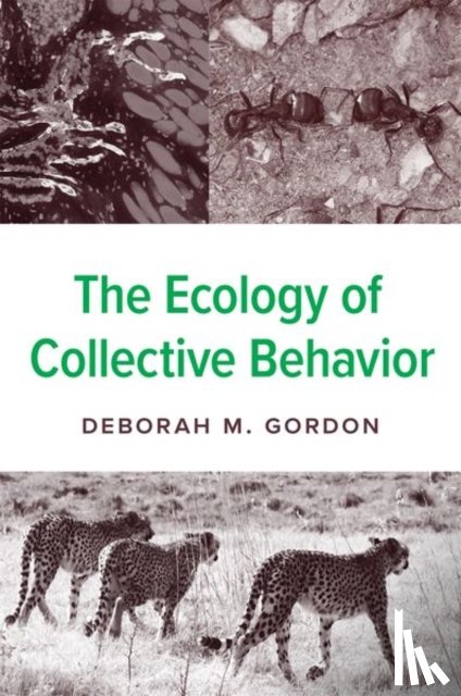 Gordon, Deborah M. - The Ecology of Collective Behavior