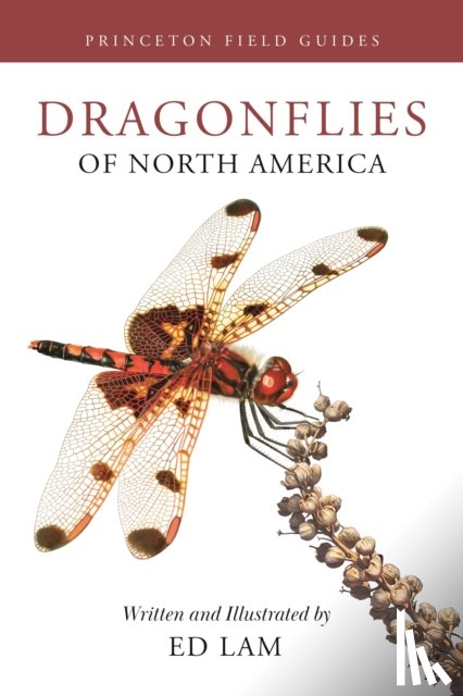 Lam, Ed - Dragonflies of North America