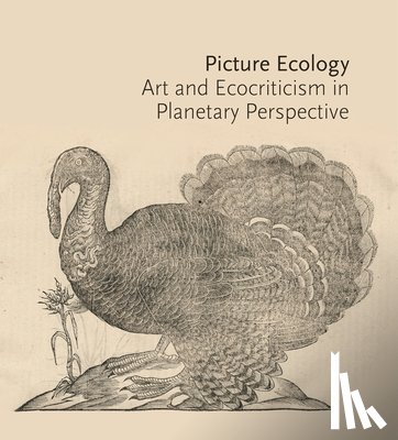  - Picture Ecology