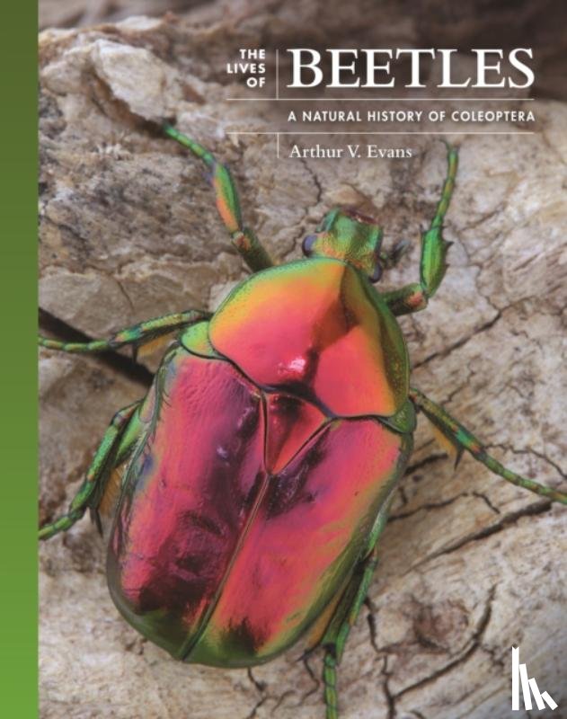 Evans, Arthur V. - The Lives of Beetles