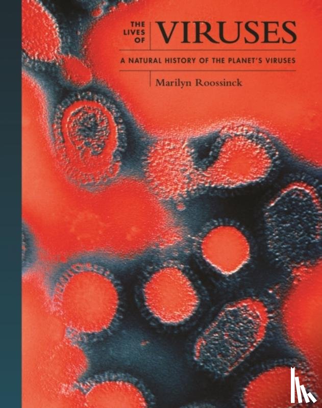 Roossinck, Dr. Marilyn J. (Professor Emeritus) - Viruses