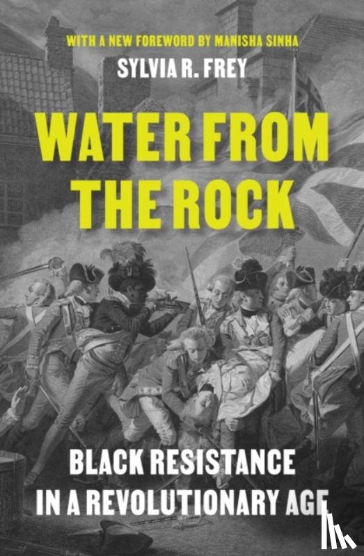 Frey, Sylvia R. - Water from the Rock