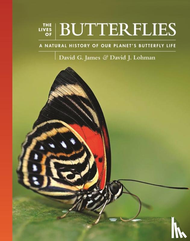 James, David G., Lohman, Dr David J. (Associate Professor) - The Lives of Butterflies