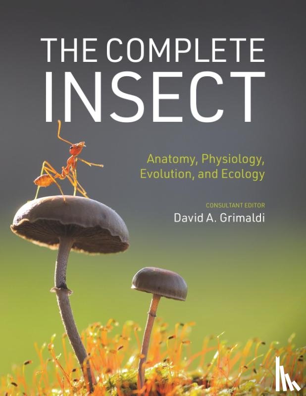  - The Complete Insect