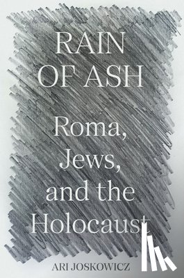 Joskowicz, Ari - Rain of Ash