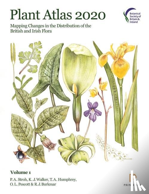 Stroh, P. A., Walker, K. J., Humphrey, T. A., Pescott, O. L. - Plant Atlas 2020