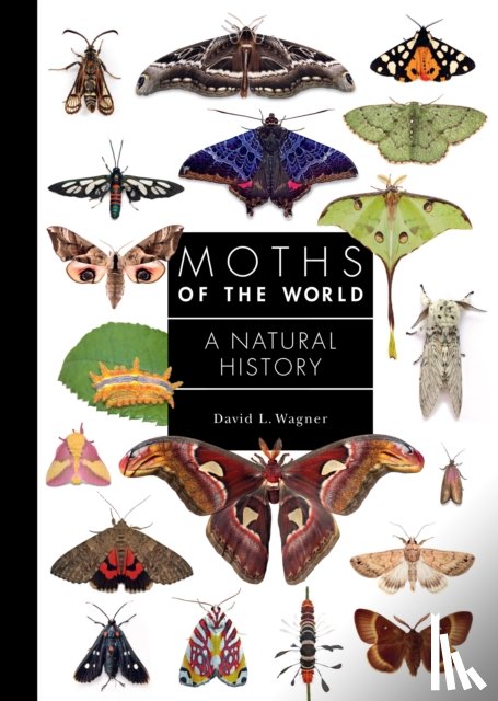 Wagner, David L. - Moths of the World