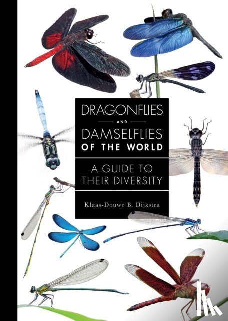 Dijkstra, Dr. Klaas-Douwe B. (Postdoctoral Researcher) - Dragonflies and Damselflies of the World