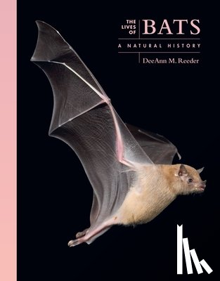 Reeder, DeeAnn M. (Professor of Biology) - The Lives of Bats