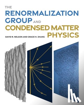 Nelson, David R., Zhang, Grace H. - The Renormalization Group and Condensed Matter Physics