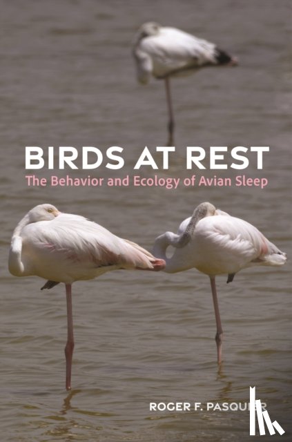 Pasquier, Roger - Birds at Rest