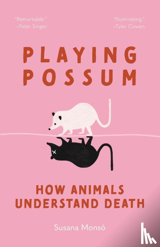 Monso, Susana - Playing Possum