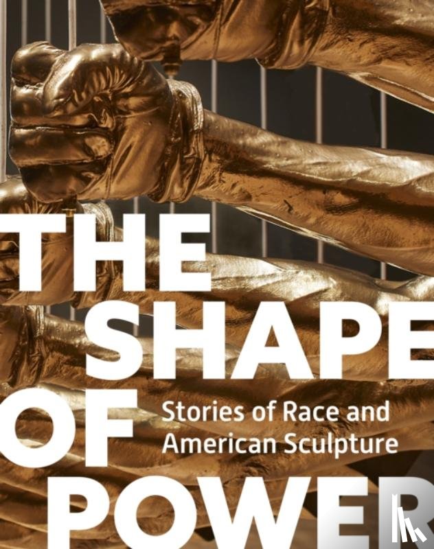 Lemmey, Karen, Wofford, Tobias, Yasumura, Grace - The Shape of Power