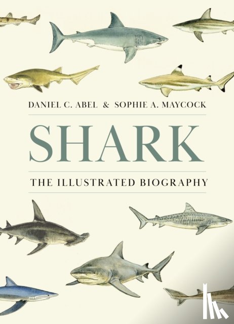 Abel, Daniel, Maycock, Sophie A. - Shark