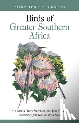 Barnes, Keith, Stevenson, Terry, Fanshawe, John - Birds of Greater Southern Africa