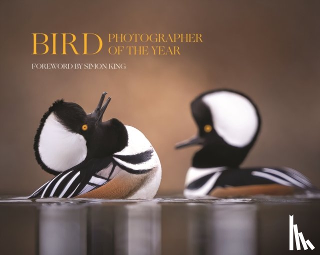  - Bird Photographer of the Year