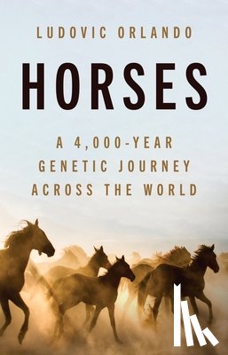 Orlando, Ludovic - Horses
