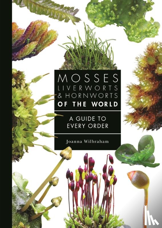 Wilbraham, Joanna - Mosses, Liverworts, and Hornworts of the World