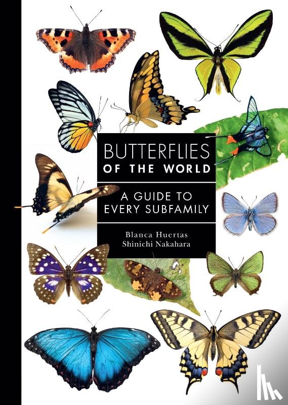 Huertas, Blanca, Nakahara, Shinichi - Butterflies of the World