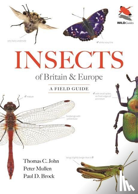 John, Thomas C., Mullen, Peter, Brock, Dr. Paul D. - Insects of Britain and Europe