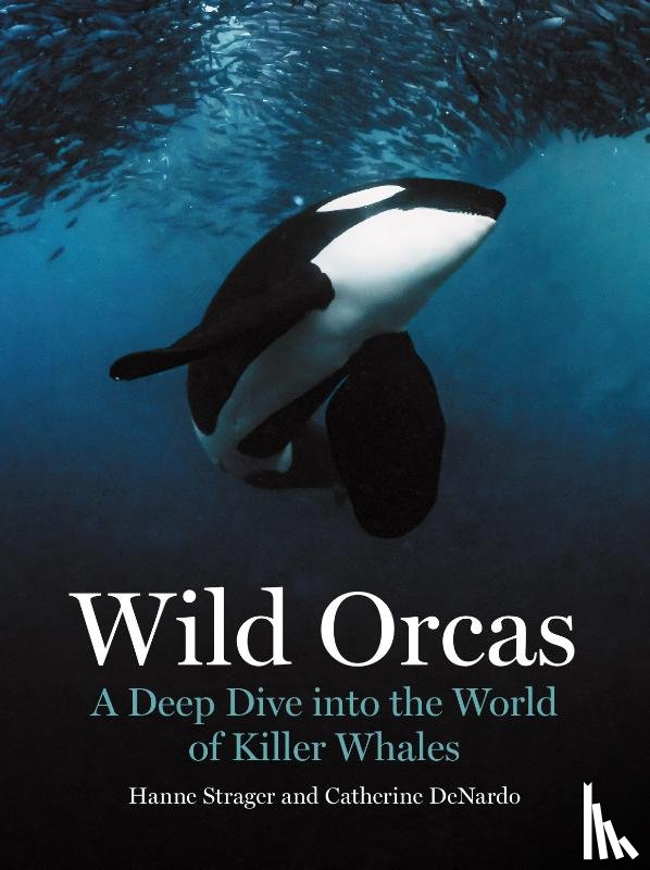 Strager, Hanne, DeNardo, Catherine - Wild Orcas