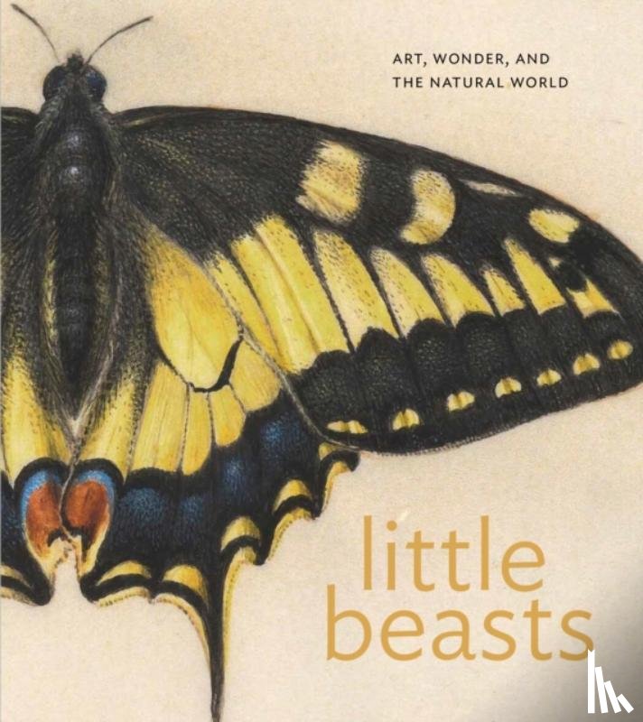  - Little Beasts