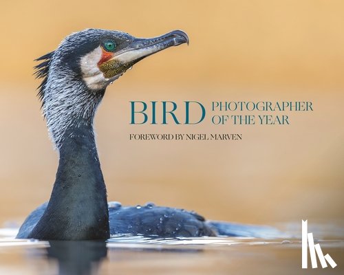  - Bird Photographer of the Year